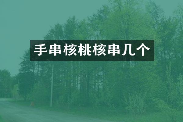 手串核桃核串几个