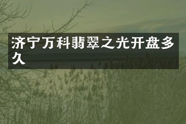 济宁万科翡翠之光开盘多久