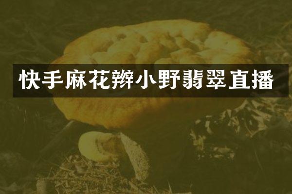 快手麻花辫小野翡翠直播