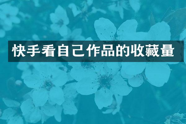 快手看自己作品的收藏量