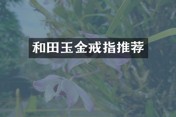 和田玉金戒指推荐