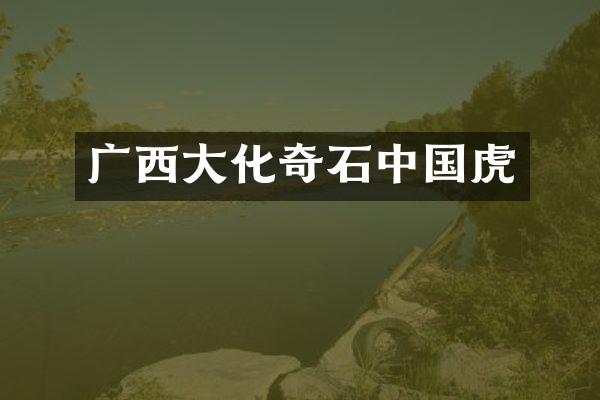 广西大化奇石中国虎