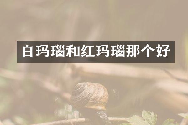 白玛瑙和红玛瑙那个好