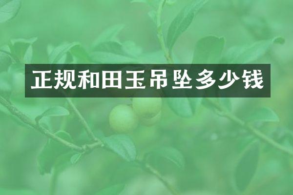 正规和田玉吊坠多少钱