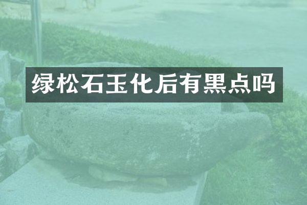绿松石玉化后有黑点吗