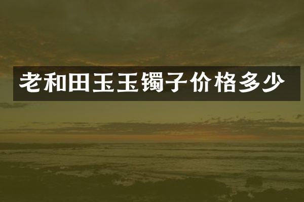 老和田玉玉镯子价格多少