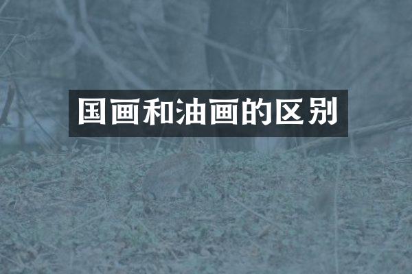 国画和油画的区别