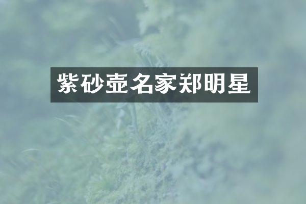 紫砂壶名家郑明星