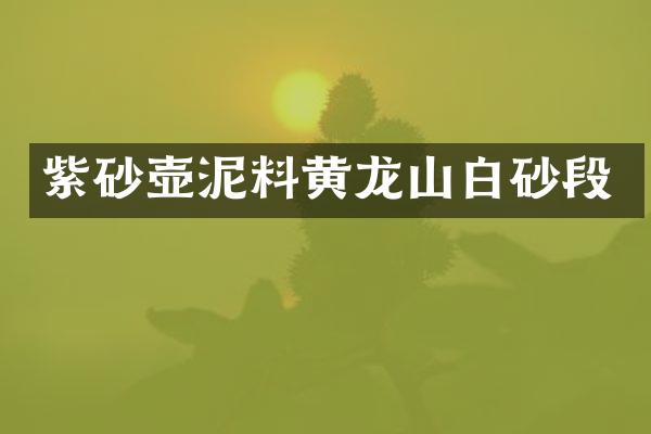 紫砂壶泥料黄龙山白砂段