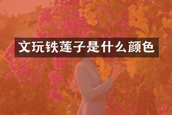 文玩铁莲子是什么颜色