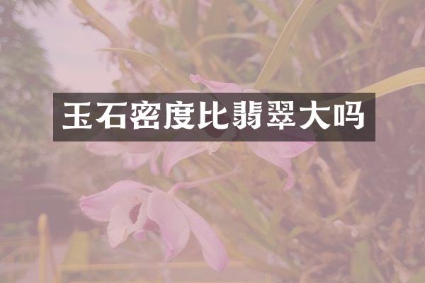 玉石密度比翡翠大吗