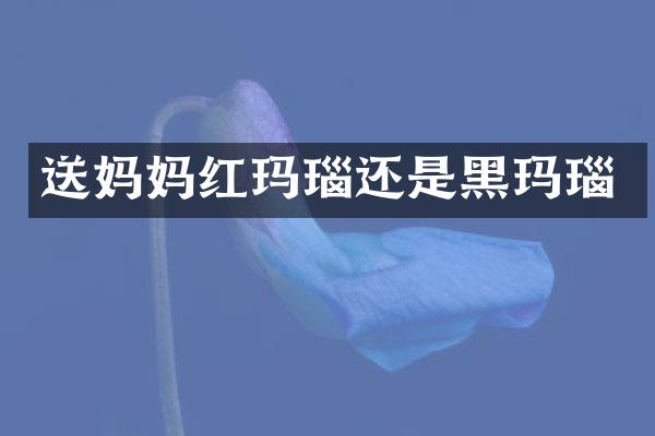 送妈妈红玛瑙还是黑玛瑙