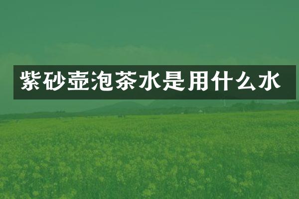 紫砂壶泡茶水是用什么水