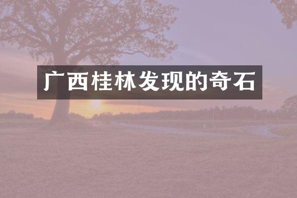 广西桂林发现的奇石