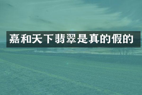 嘉和天下翡翠是真的假的