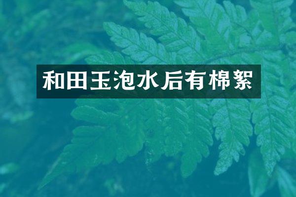 和田玉泡水后有棉絮