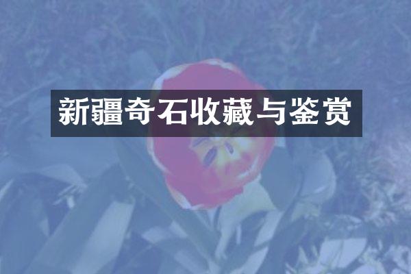 新疆奇石收藏与鉴赏