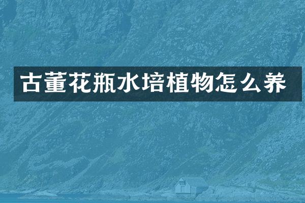 古董花瓶水培植物怎么养