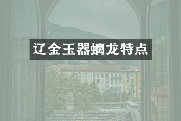 辽金玉器螭龙特点