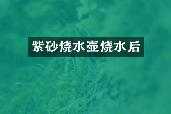 紫砂烧水壶烧水后
