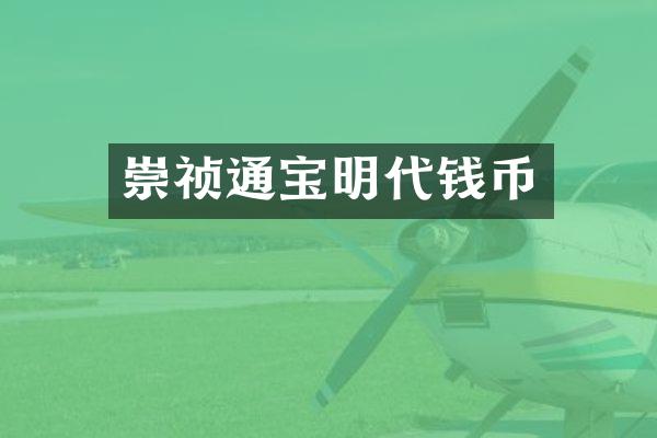 崇祯通宝明代钱币