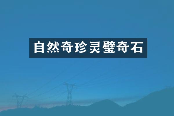 自然奇珍灵璧奇石