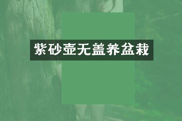 紫砂壶无盖养盆栽