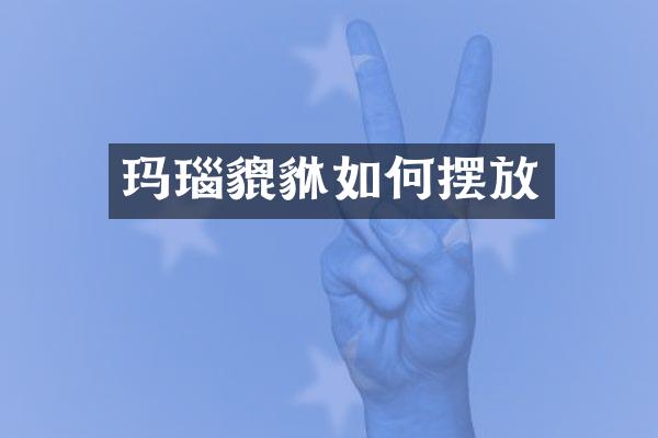 玛瑙貔貅如何摆放
