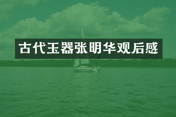 古代玉器张明华观后感