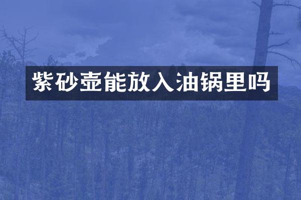 紫砂壶能放入油锅里吗