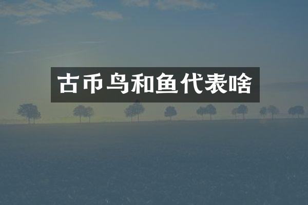 古币鸟和鱼代表啥