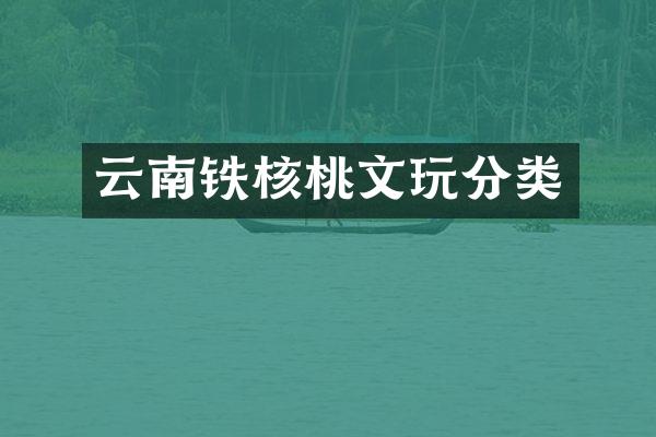 云南铁核桃文玩分类
