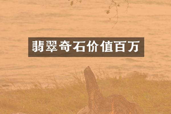 翡翠奇石价值百万