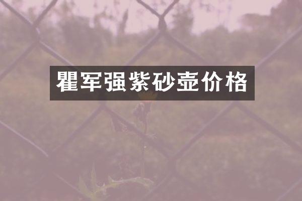 瞿军强紫砂壶价格