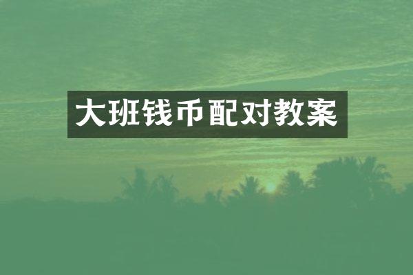 大班钱币配对教案