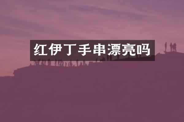 红伊丁手串漂亮吗
