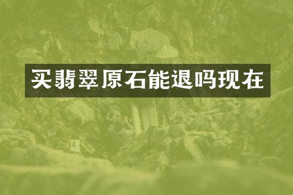 买翡翠原石能退吗现在