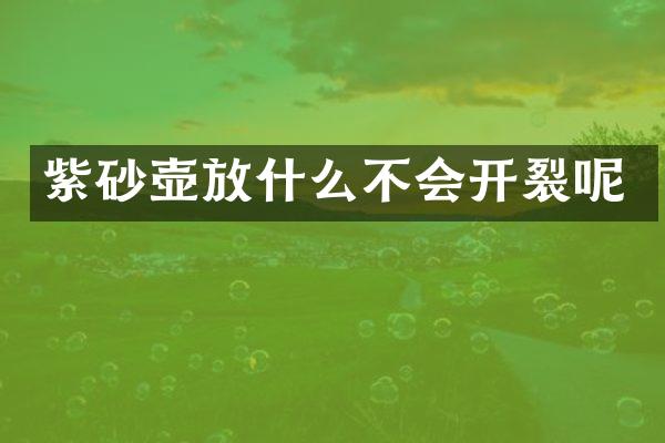 紫砂壶放什么不会开裂呢