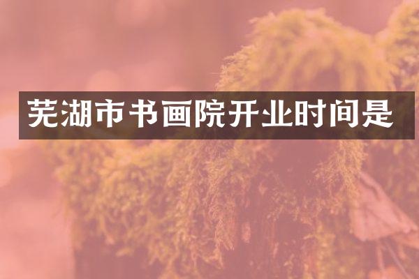 芜湖市书画院开业时间是