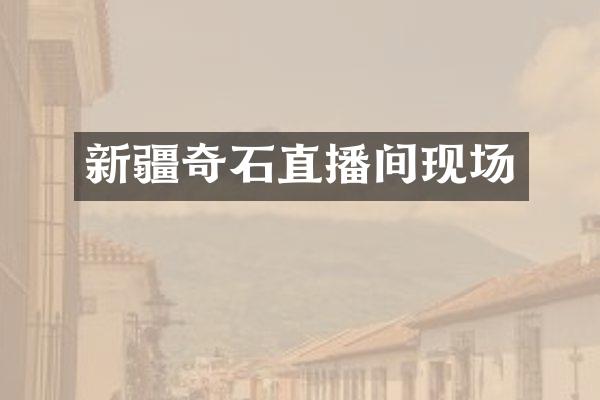 新疆奇石直播间现场