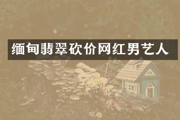 缅甸翡翠砍价网红男艺人