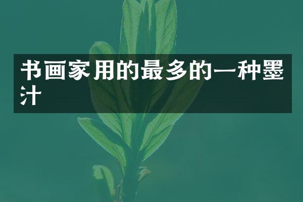 书画家用的最多的一种墨汁