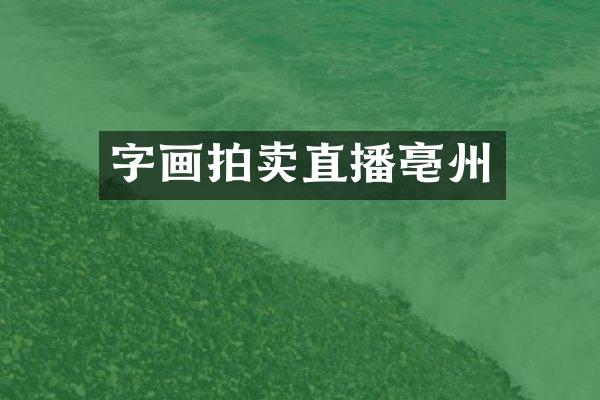字画拍卖直播亳州