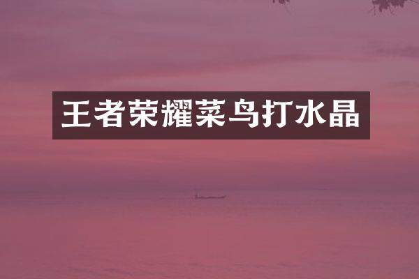 王者荣耀菜鸟打水晶