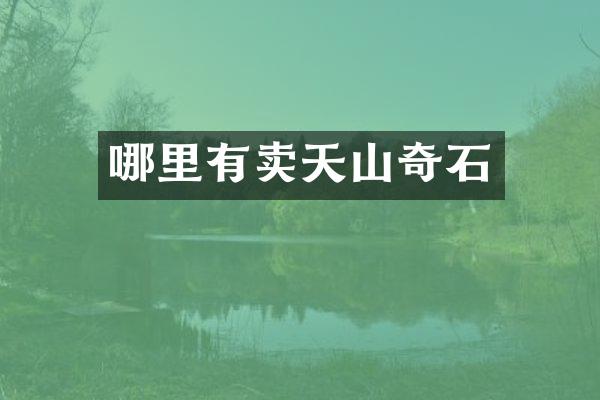 哪里有卖天山奇石