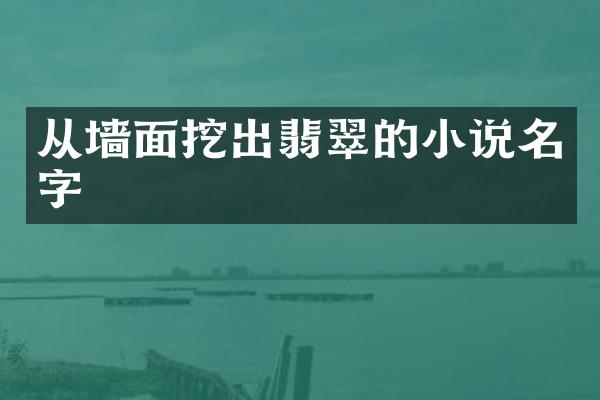 从墙面挖出翡翠的小说名字