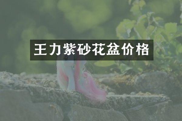 王力紫砂花盆价格