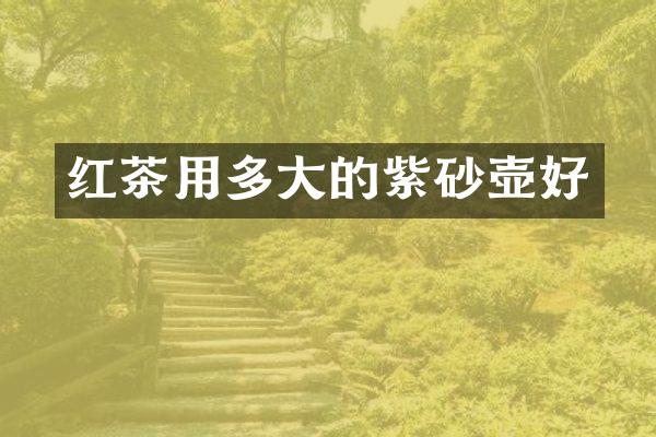 红茶用多大的紫砂壶好