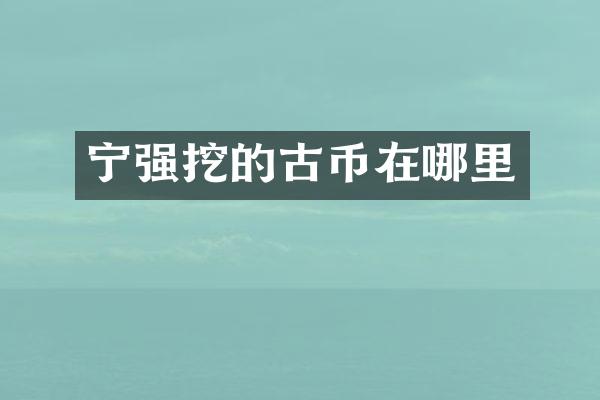 宁强挖的古币在哪里