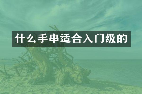 什么手串适合入门级的